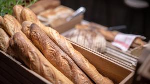 hotel indigo brussels city by ihg