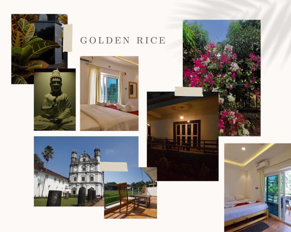 goa down d vilage prime