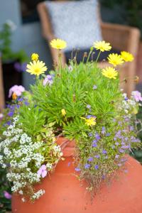 the beach house at bayside