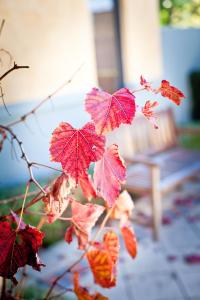 the beach house at bayside