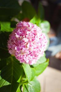 the beach house at bayside