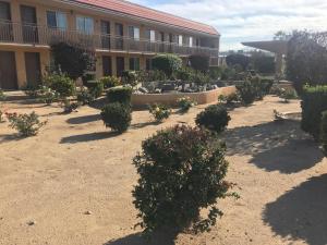 budget lodge san bernardino