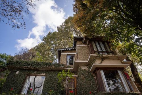 avenida himalayan retreat