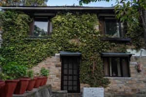 avenida himalayan retreat