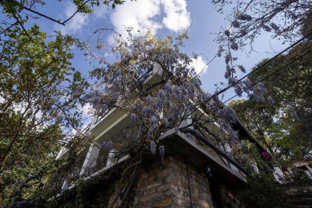 avenida himalayan retreat