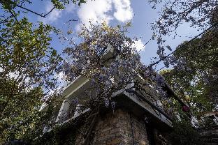 avenida himalayan retreat