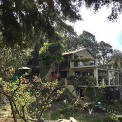 avenida himalayan retreat