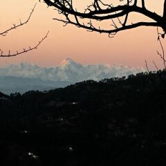 avenida himalayan retreat
