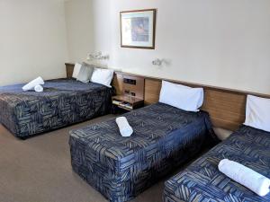 miners lodge motor inn