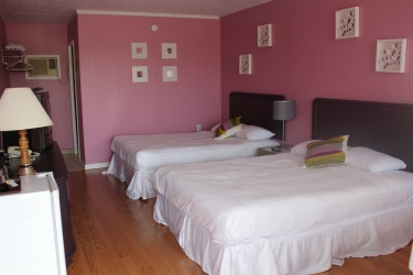 ritz inn niagara