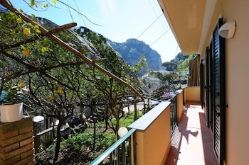 lemon garden