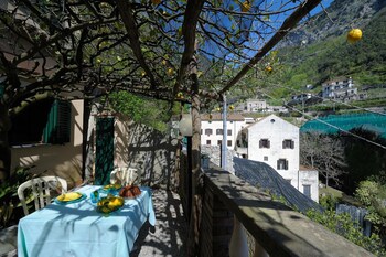 lemon garden