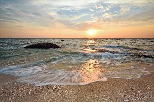 symphony of the sea