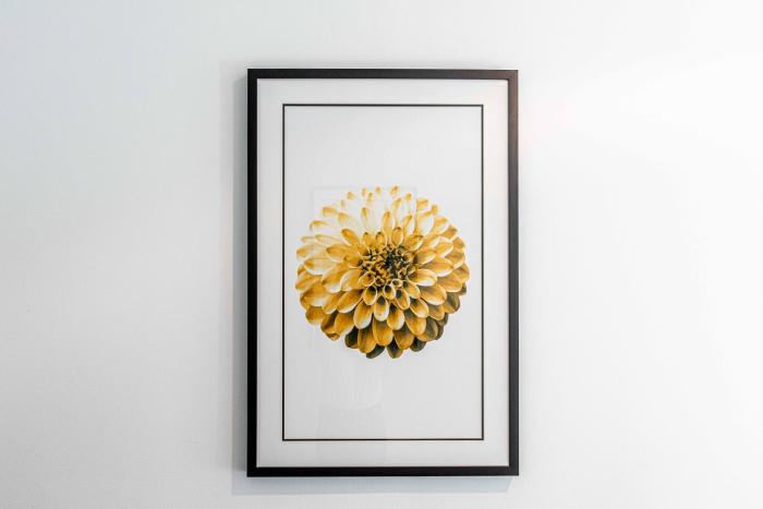 avoca randwick by sydney lodges