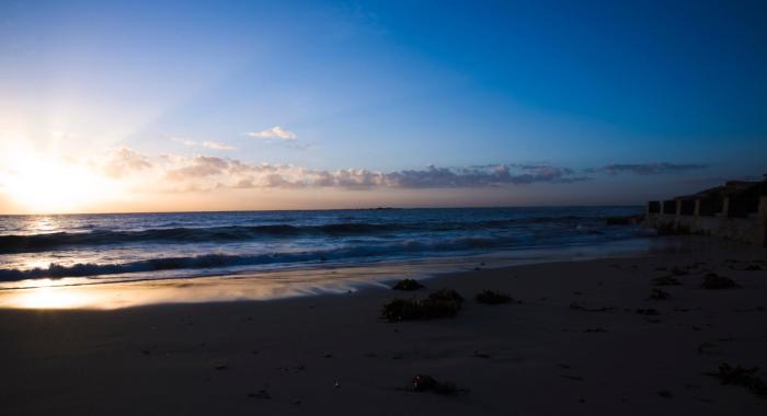 avoca randwick by sydney lodges