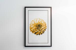 avoca randwick by sydney lodges