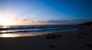 avoca randwick by sydney lodges