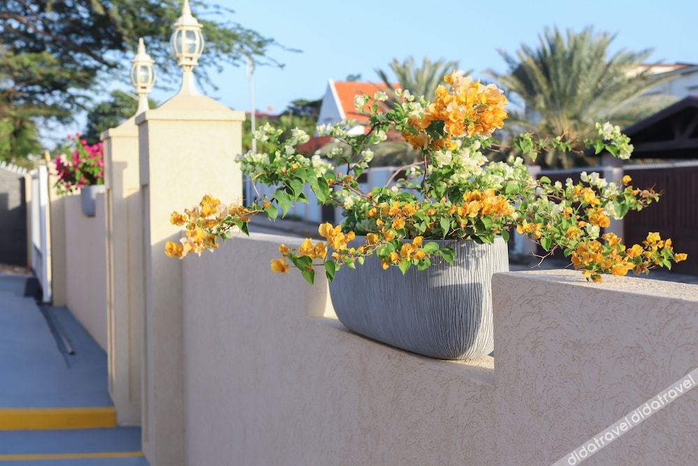 rh boutique hotel aruba
