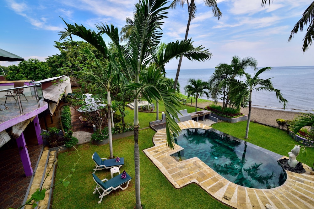 dolphin beach bali