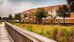 best western wesley chapel