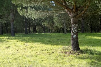 Quinta Dos Machados - Country House Spa E Eventos,Lisbon>>Gradil,4 star