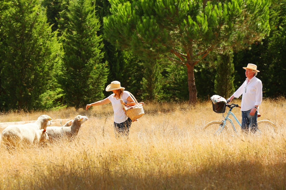 quinta dos machados country house spa e eventos