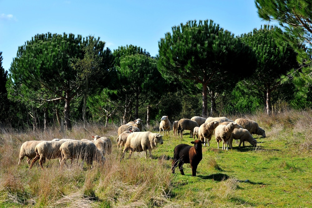 quinta dos machados country house spa e eventos