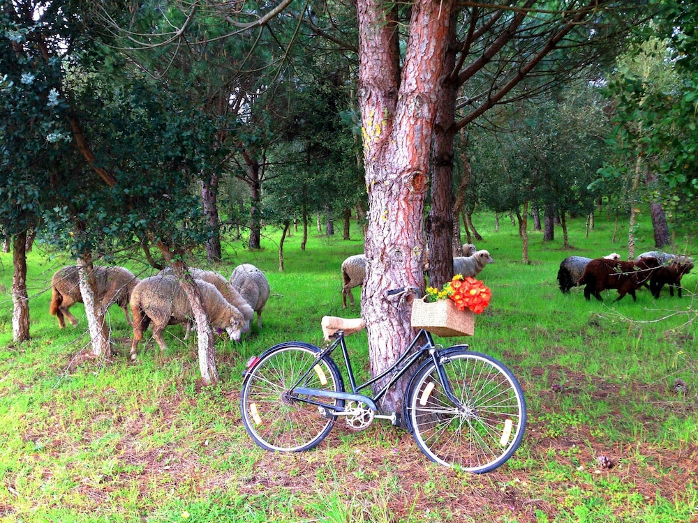 quinta dos machados country house spa e eventos