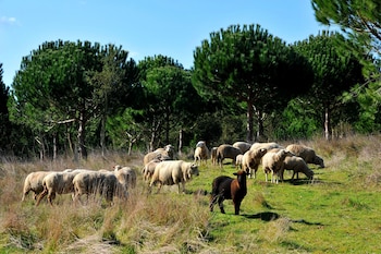 quinta dos machados country house spa e eventos