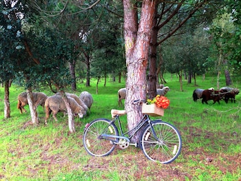 quinta dos machados country house spa e eventos