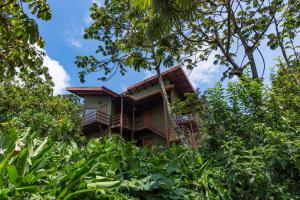 Cala Lodge,Puntarenas>>Monteverde,3 star