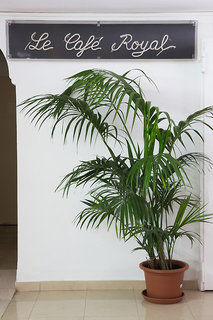 sant josep de sa talaia