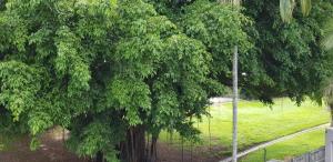 Reef Palms Motel,Cairns North>>Cairns,4 star