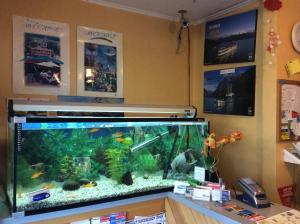 Belle Bonne Motel,Sockburn>>Christchurch,3 star