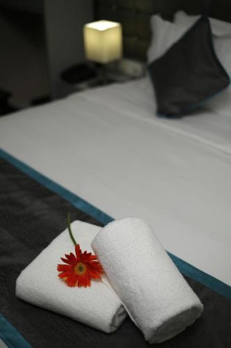 park iris hotels mg road