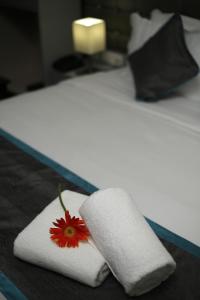 park iris hotels mg road