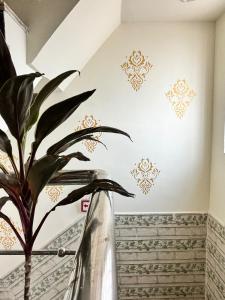 hotel royal pinkcity