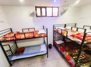 hotel royal pinkcity