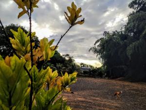 velinn hotel natureza foz