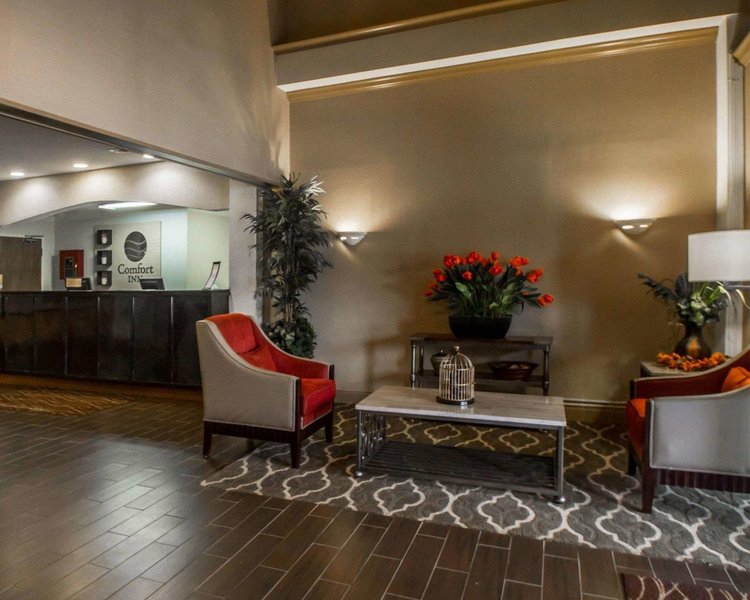 comfort inn amite city