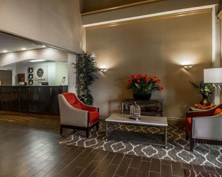 comfort inn amite city