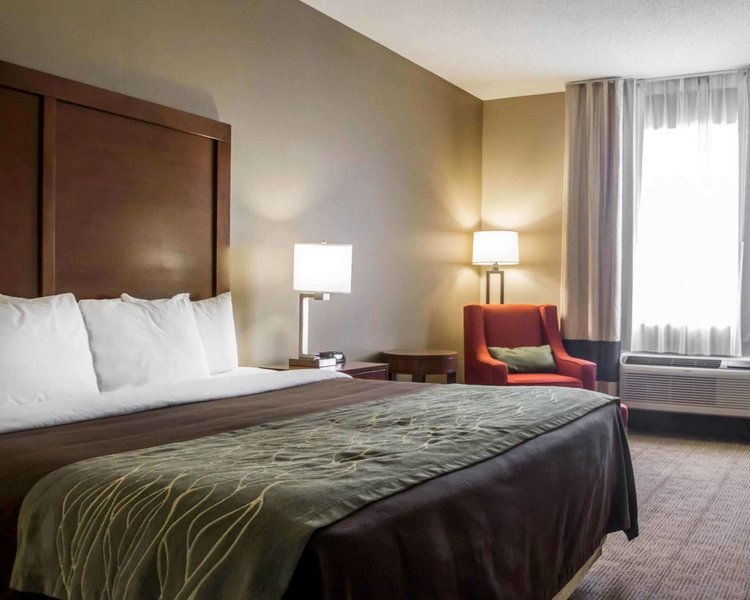 comfort inn amite city