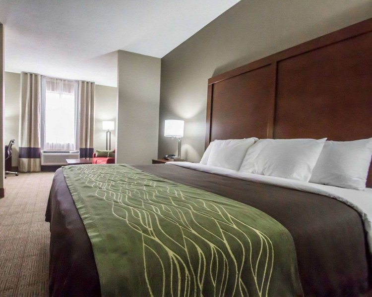 comfort inn amite city