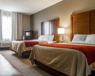 comfort inn amite city