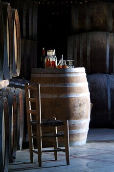 La Bastide En Gascogne,Barbotan-Les-Thermes>>Auch,5 star