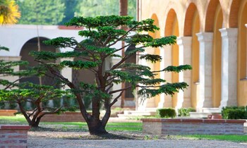 La Bastide En Gascogne,Barbotan-Les-Thermes>>Auch,5 star