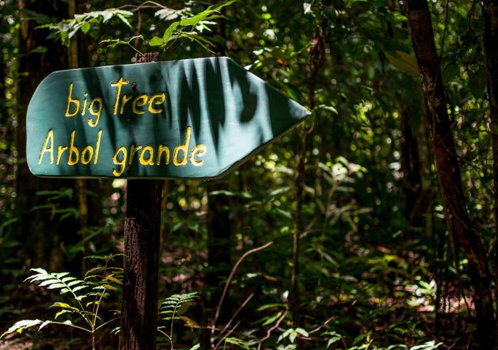 la cusinga lodge