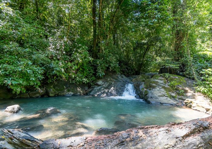 la cusinga lodge