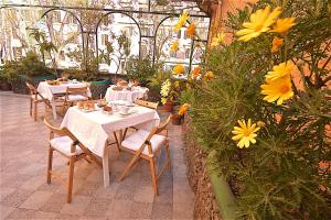 hotel carmel roma