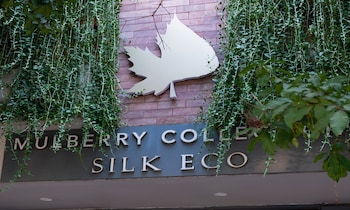 mulberry collection silk eco